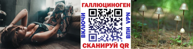 Псилоцибиновые грибы Cubensis  OMG как войти  Нея 